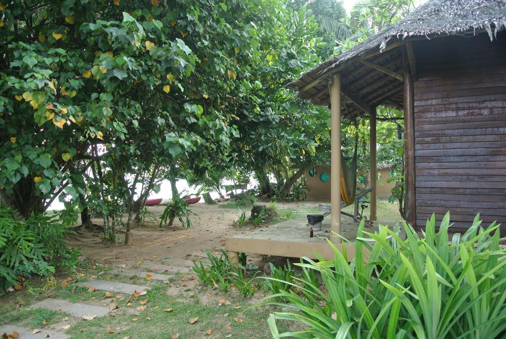 Monkey Island Resort Мак Номер фото